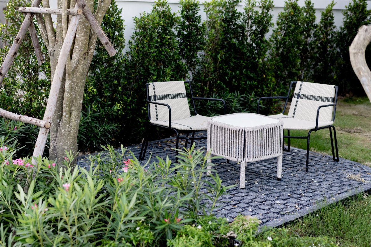 ภาพแกลเลอรี่ 6