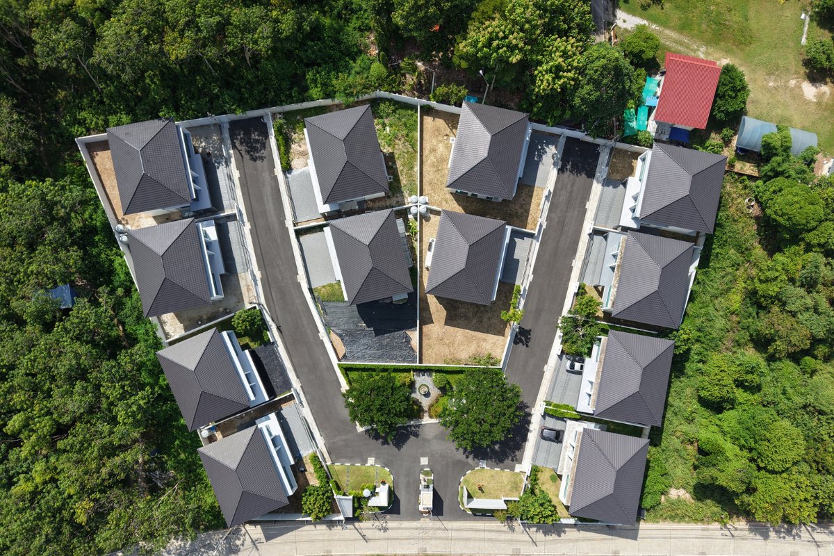 ภาพแกลเลอรี่ 8